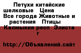 Петухи китайские шелковые › Цена ­ 1 000 - Все города Животные и растения » Птицы   . Калмыкия респ.,Элиста г.